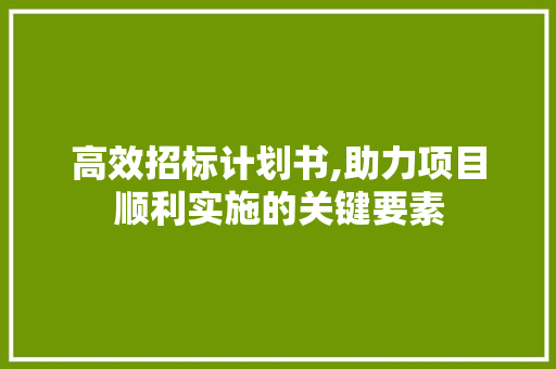 高效招标计划书,助力项目顺利实施的关键要素