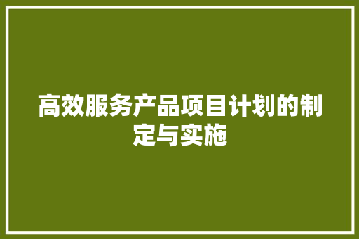 高效服务产品项目计划的制定与实施