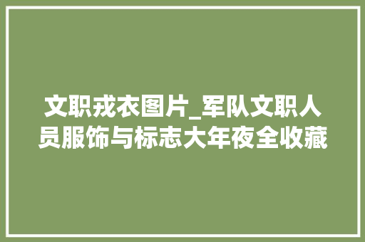 文职戎衣图片_军队文职人员服饰与标志大年夜全收藏版