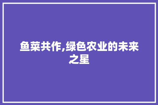 鱼菜共作,绿色农业的未来之星