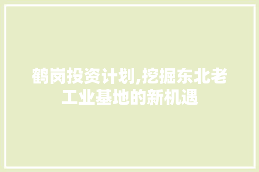 鹤岗投资计划,挖掘东北老工业基地的新机遇