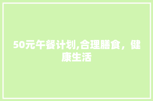 50元午餐计划,合理膳食，健康生活