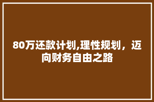 80万还款计划,理性规划，迈向财务自由之路