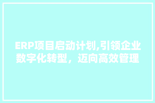 ERP项目启动计划,引领企业数字化转型，迈向高效管理新时代