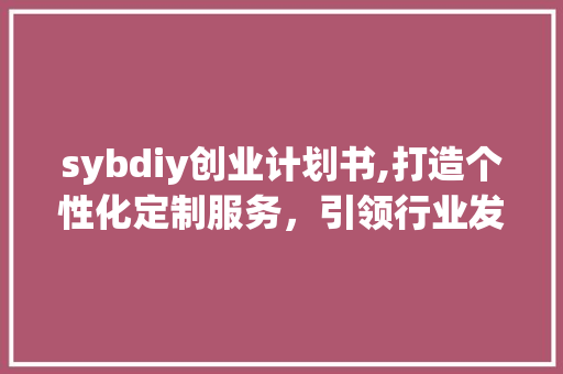 sybdiy创业计划书,打造个性化定制服务，引领行业发展新潮流