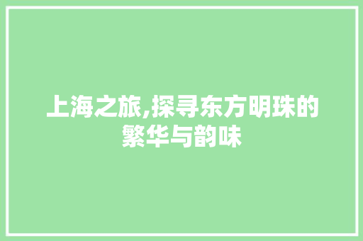 上海之旅,探寻东方明珠的繁华与韵味