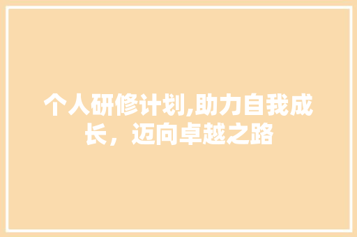 个人研修计划,助力自我成长，迈向卓越之路