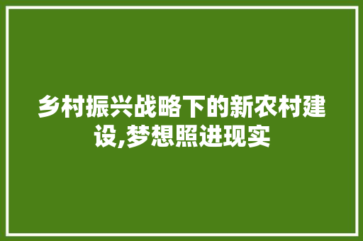 乡村振兴战略下的新农村建设,梦想照进现实