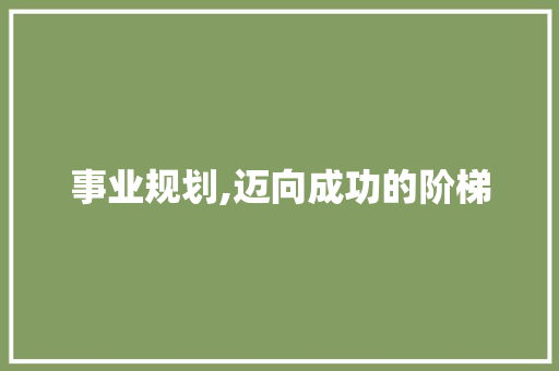 事业规划,迈向成功的阶梯