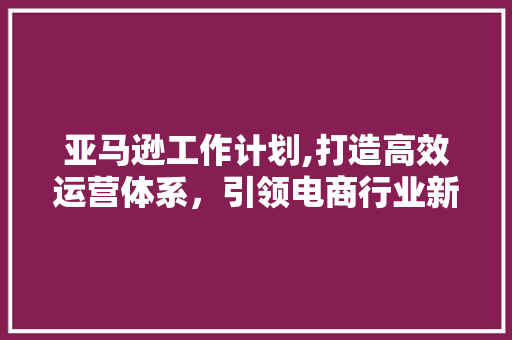 亚马逊工作计划,打造高效运营体系，引领电商行业新潮流