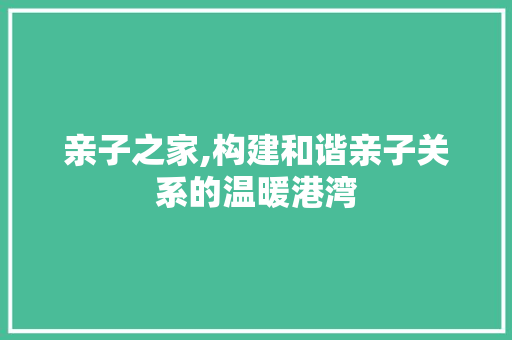 亲子之家,构建和谐亲子关系的温暖港湾