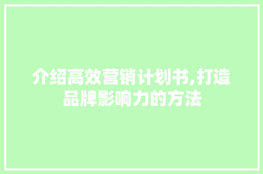 介绍高效营销计划书,打造品牌影响力的方法