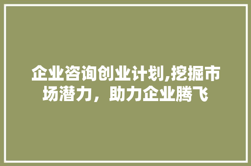 企业咨询创业计划,挖掘市场潜力，助力企业腾飞