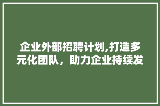 企业外部招聘计划,打造多元化团队，助力企业持续发展