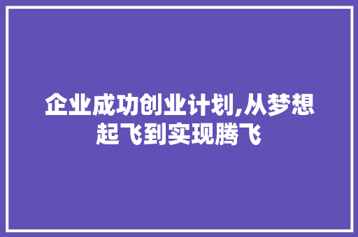 企业成功创业计划,从梦想起飞到实现腾飞