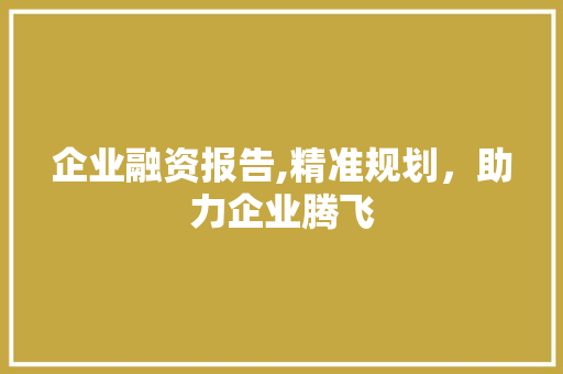 企业融资报告,精准规划，助力企业腾飞