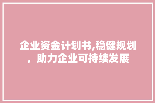 企业资金计划书,稳健规划，助力企业可持续发展