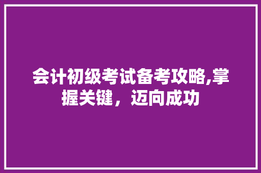 会计初级考试备考攻略,掌握关键，迈向成功