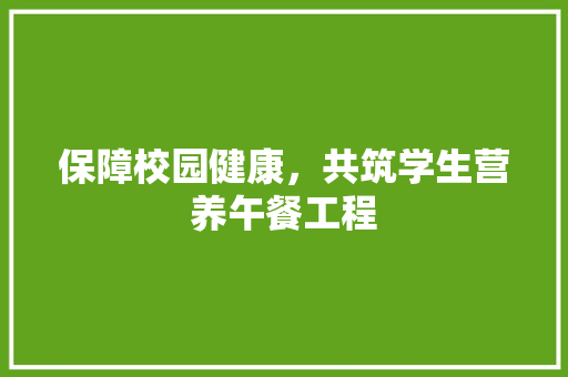 保障校园健康，共筑学生营养午餐工程