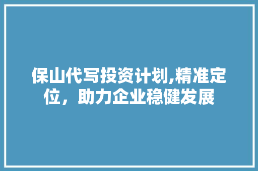 保山代写投资计划,精准定位，助力企业稳健发展