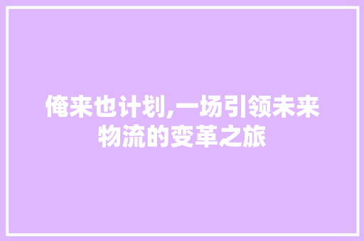 俺来也计划,一场引领未来物流的变革之旅