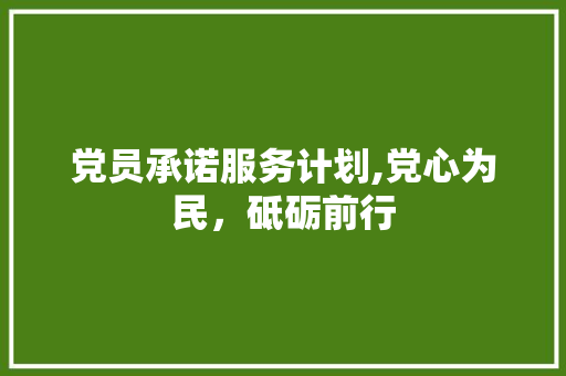 党员承诺服务计划,党心为民，砥砺前行