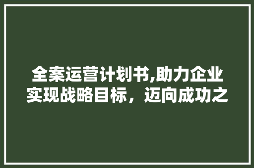 全案运营计划书,助力企业实现战略目标，迈向成功之路