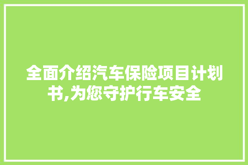 全面介绍汽车保险项目计划书,为您守护行车安全