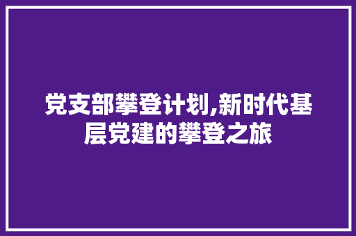 党支部攀登计划,新时代基层党建的攀登之旅