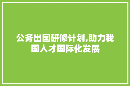 公务出国研修计划,助力我国人才国际化发展