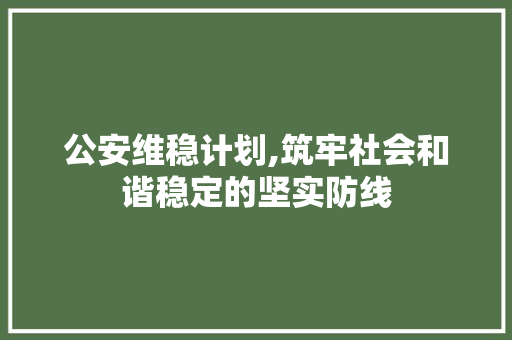 公安维稳计划,筑牢社会和谐稳定的坚实防线