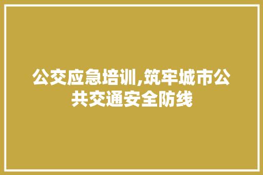 公交应急培训,筑牢城市公共交通安全防线