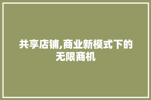 共享店铺,商业新模式下的无限商机