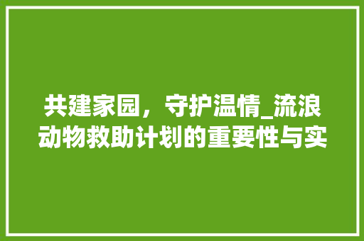 共建家园，守护温情_流浪动物救助计划的重要性与实施步骤