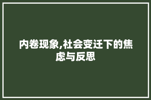 内卷现象,社会变迁下的焦虑与反思