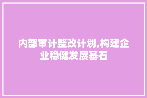 内部审计整改计划,构建企业稳健发展基石