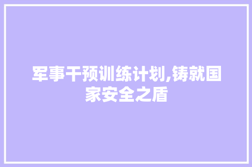 军事干预训练计划,铸就国家安全之盾