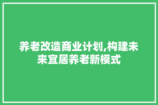 养老改造商业计划,构建未来宜居养老新模式