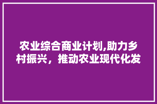 农业综合商业计划,助力乡村振兴，推动农业现代化发展