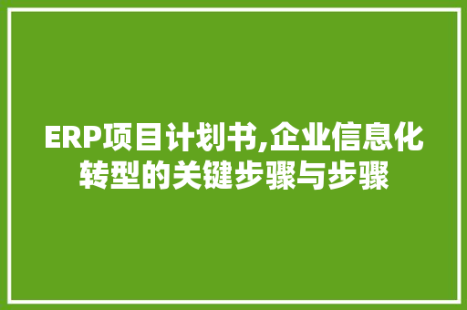 ERP项目计划书,企业信息化转型的关键步骤与步骤