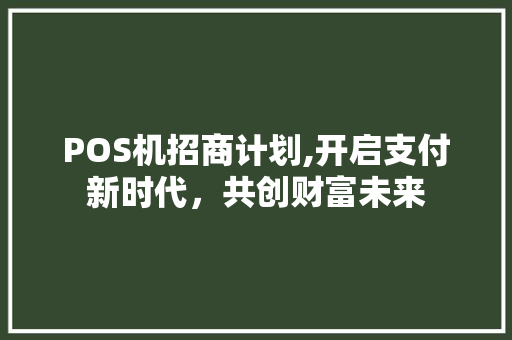 POS机招商计划,开启支付新时代，共创财富未来