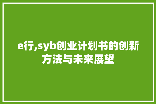 e行,syb创业计划书的创新方法与未来展望