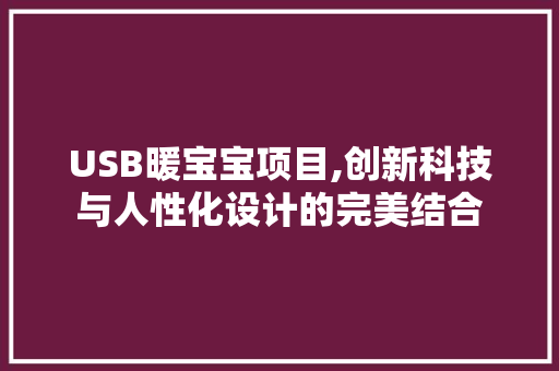 USB暖宝宝项目,创新科技与人性化设计的完美结合