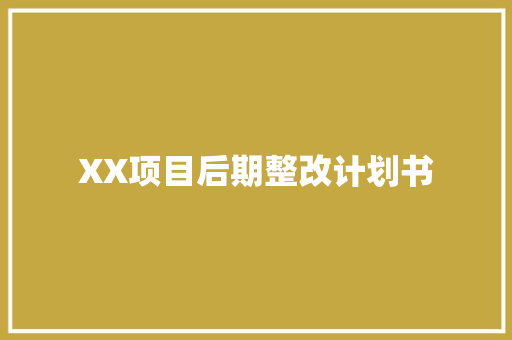 XX项目后期整改计划书