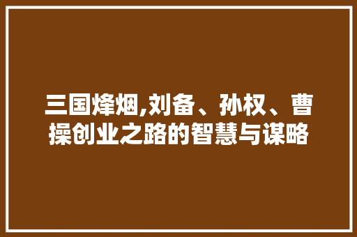 三国烽烟,刘备、孙权、曹操创业之路的智慧与谋略