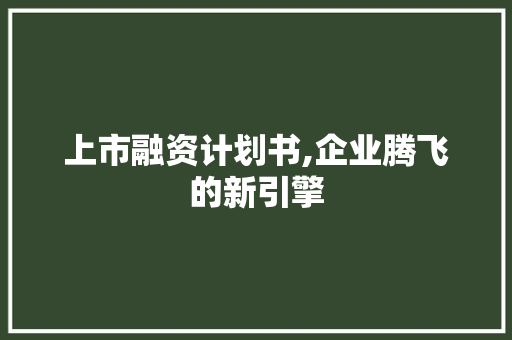 上市融资计划书,企业腾飞的新引擎