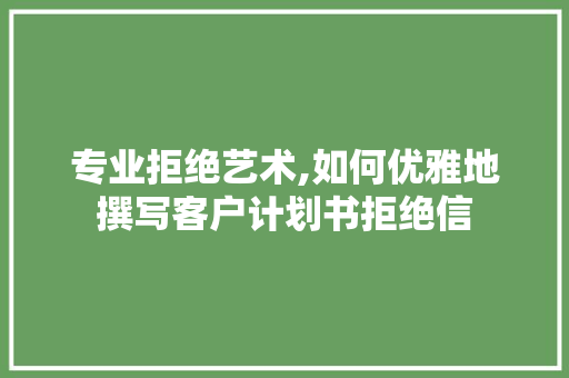 专业拒绝艺术,如何优雅地撰写客户计划书拒绝信