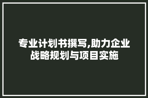 专业计划书撰写,助力企业战略规划与项目实施