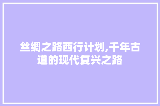 丝绸之路西行计划,千年古道的现代复兴之路