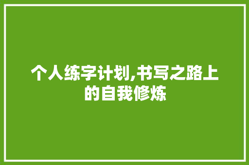 个人练字计划,书写之路上的自我修炼